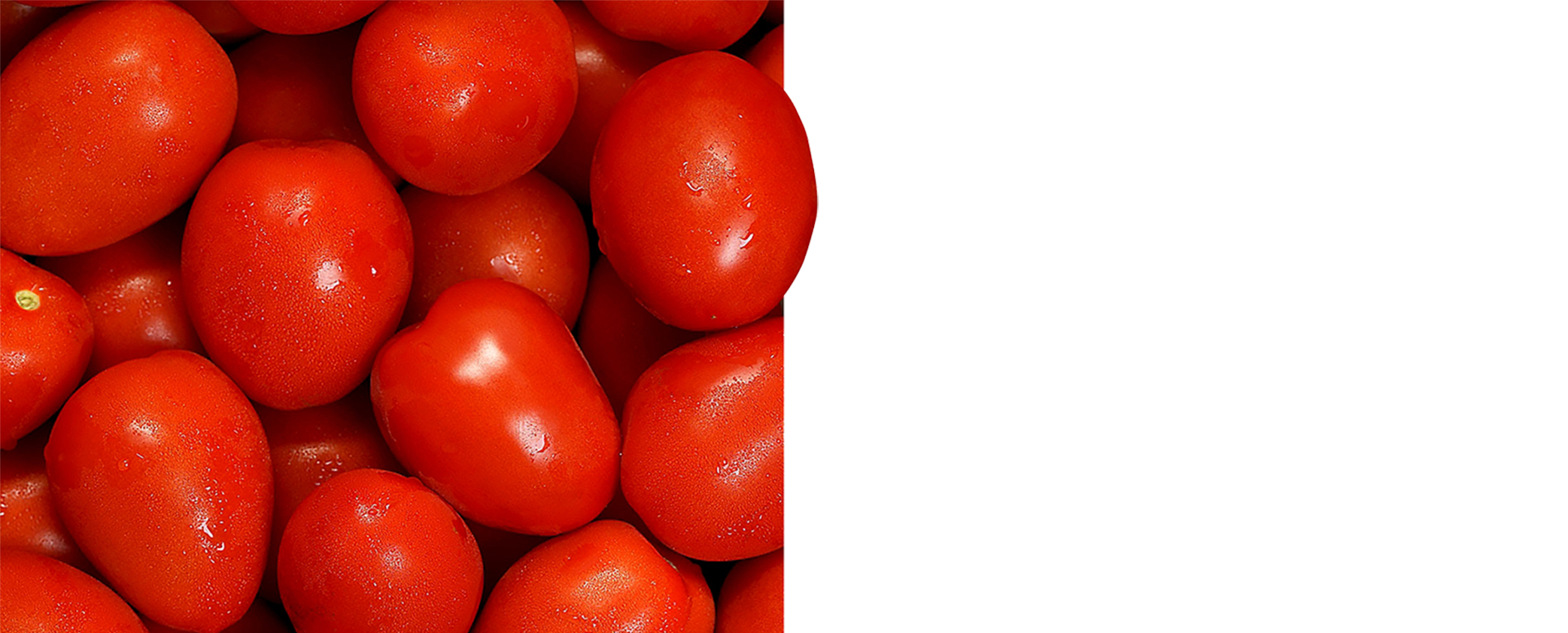 img-smart-farming