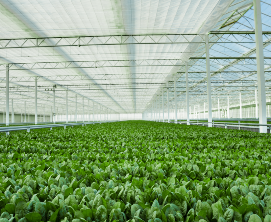 img-smart-farming