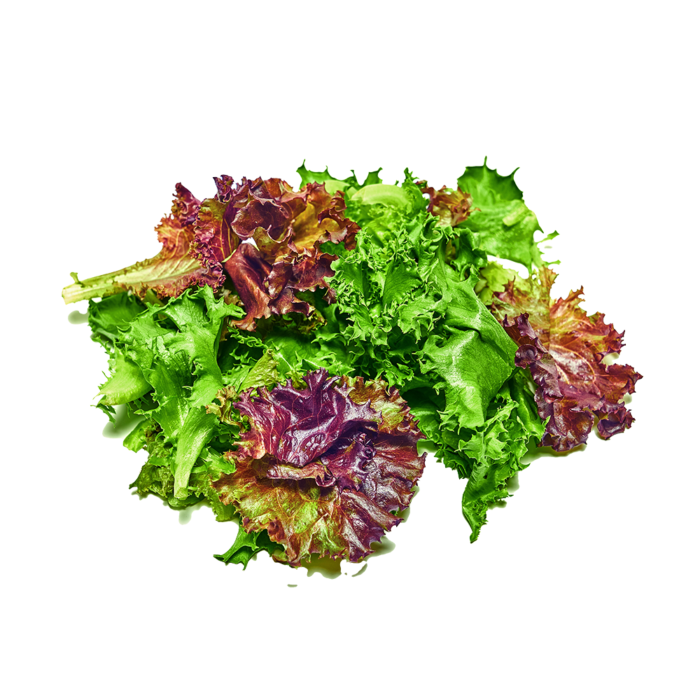 Mixed Salad