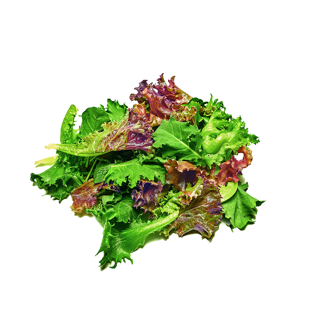 Rainbow Salad Mix