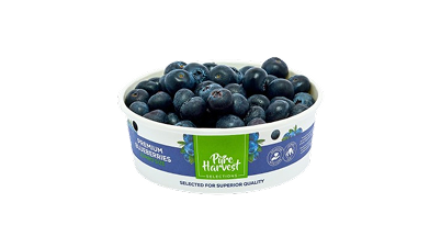 Blueberries