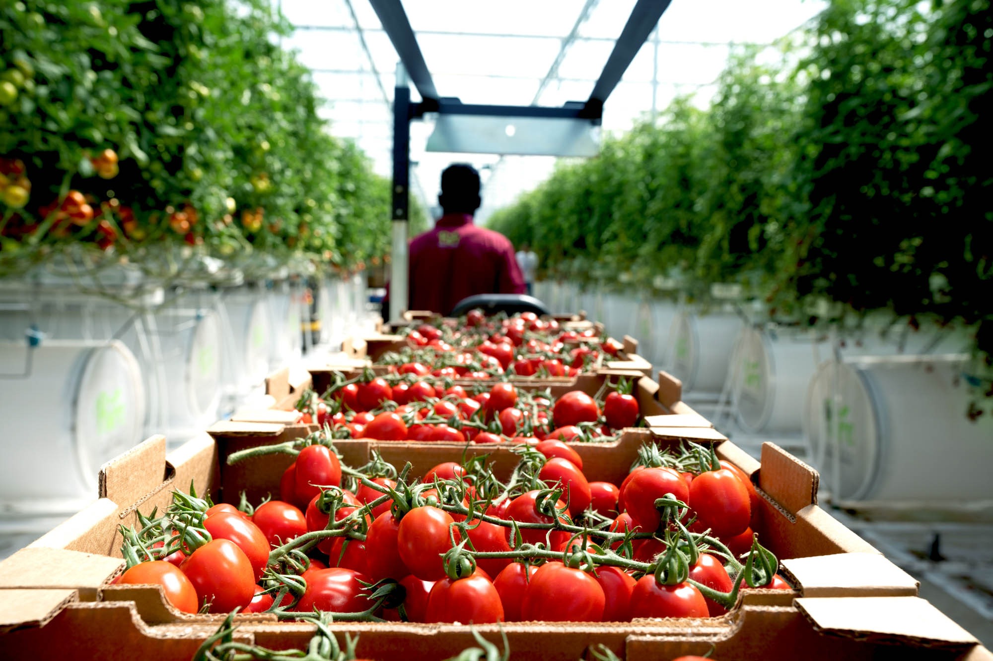 img-smart-farming