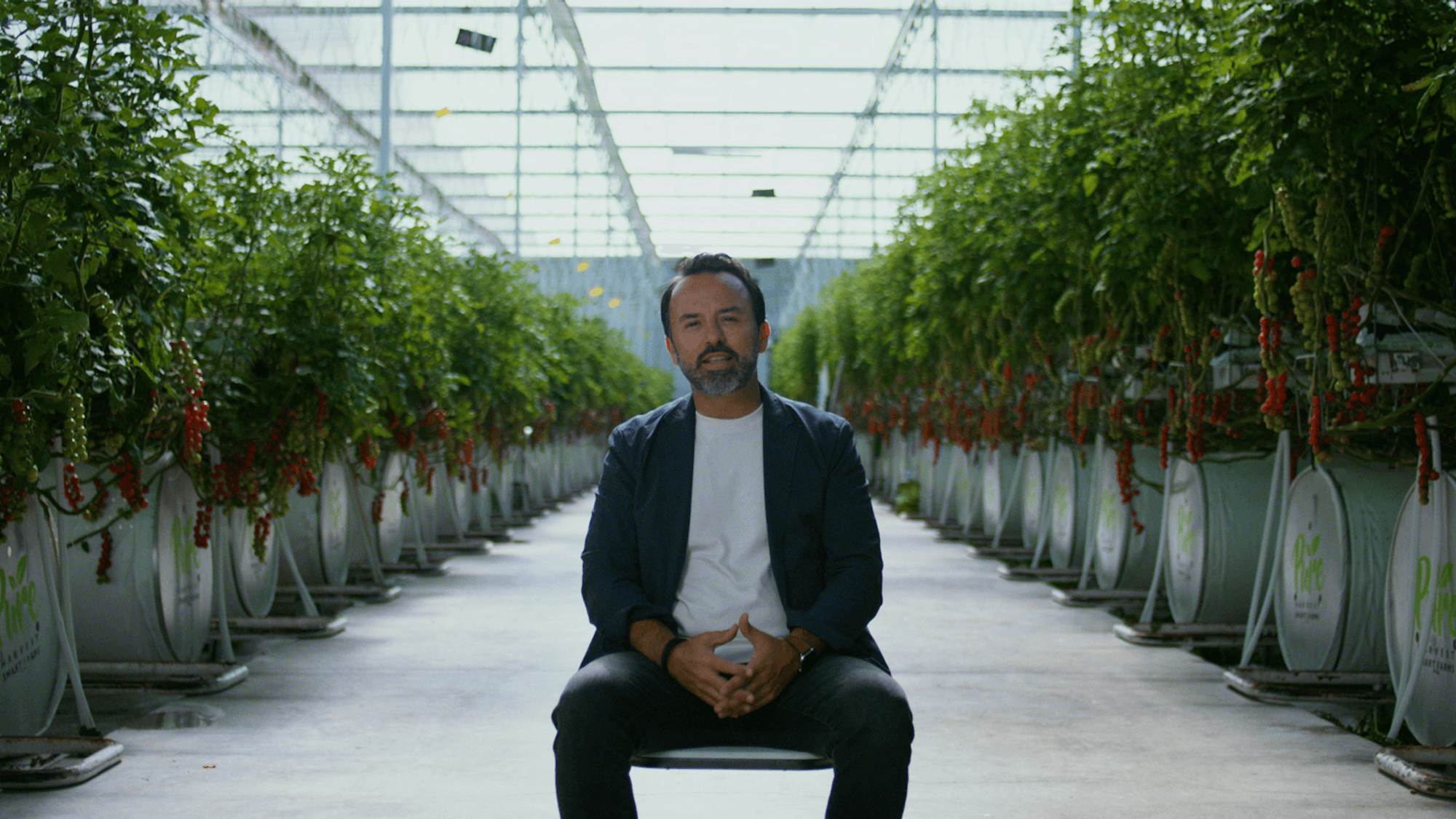Seeds of change: The UAE's solutions for the future of food